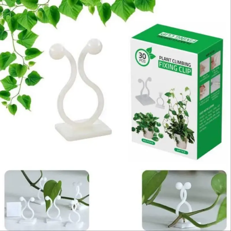 Plant Wall Climbing Fixing Clip Set Of 30Pcs